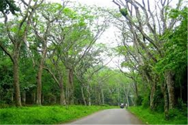 Cuc Phuong and Hoa Lu Excursion